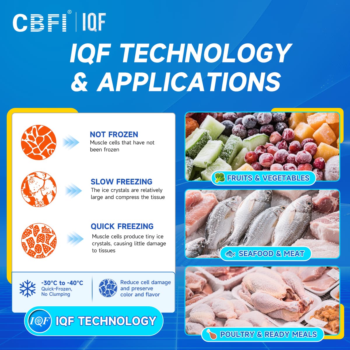 IQF3compressed IQF3compressed