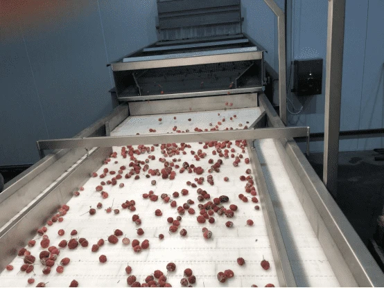 11compressed 11compressed