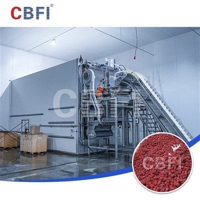 2000kg/h Fluidized txaj ceev lub Freezer Empowering Berry Kev Lag Luam Txhim Kho hauv Tsib Central Asian Stan Lub Tebchaws
