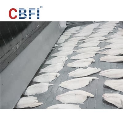 750kg/h Chain Phaj Tunnel Freezer - Lub Cornerstone Ntawm Export-Quality Quick-Freezing Rau Indonesian ntses fillets